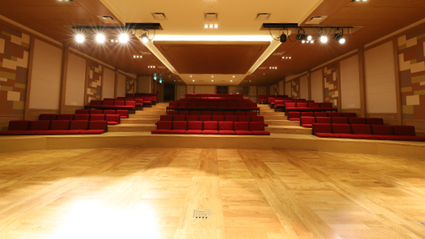 Auditorium DS Art Hall picture